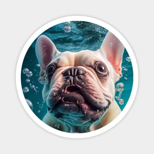 Dogs in Water #11 Magnet